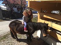 Mithilfe im Stall samt Reitrunde am Kinder Bauernhof Tunelhof in Tirol