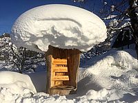 Stuhl aus einem Ahornstamm mit Schneehaube am Tunelhof