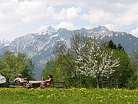 Erholsame Ruheplätze am Urlaubsbauernhof in Tirol