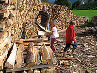 Brennholz aus dem eigenen Wald