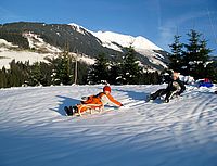 Hofeigene Rodelbahn am Urlaubsbauernhof Tunelhof in Weerberg