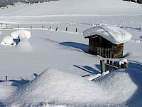 Unberührte Natur beim Schneeschuhwandern am Weerberg in Tirol